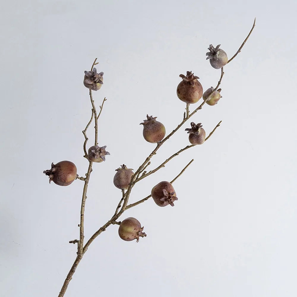 Dried branch with brown fruits against a light gray background