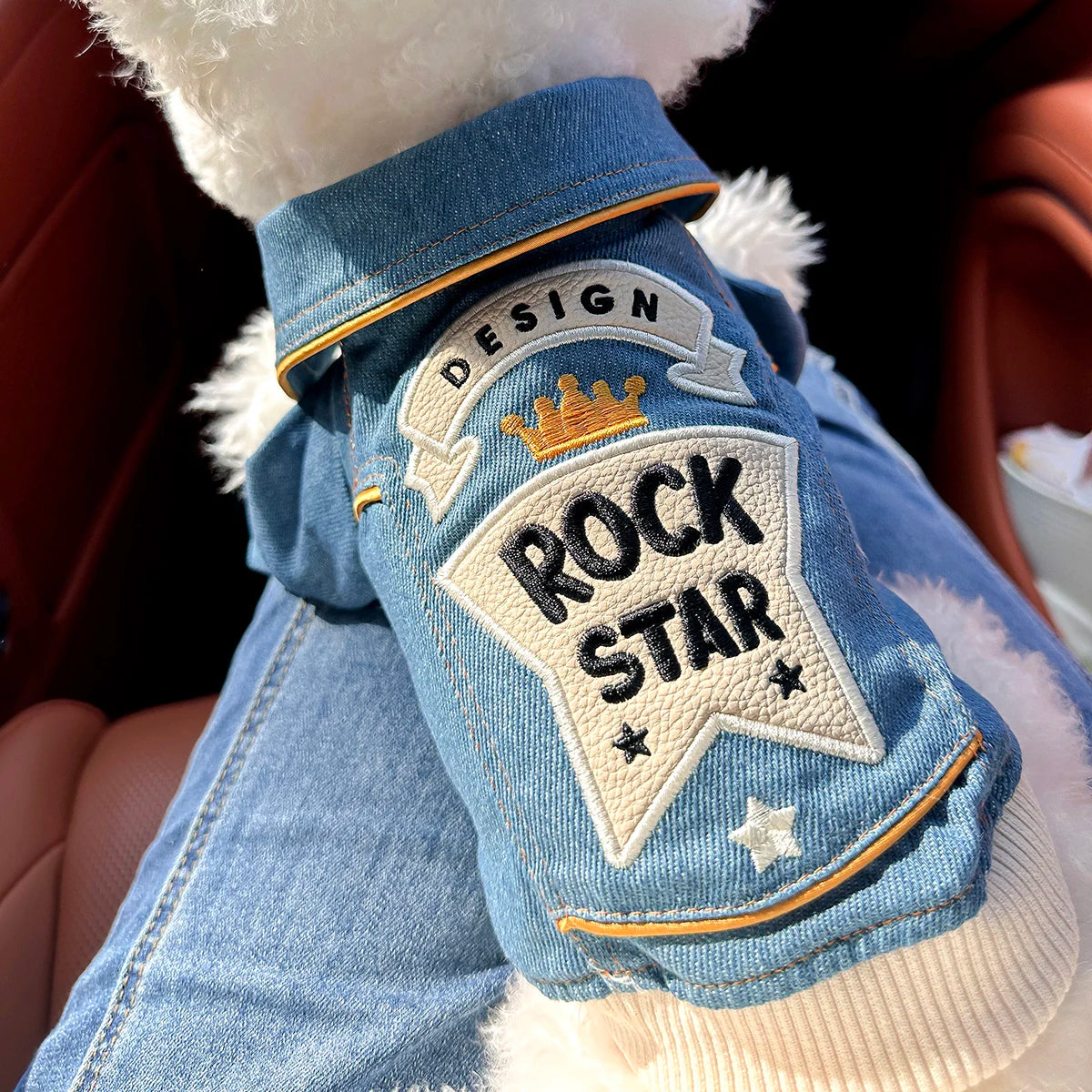 Dog wearing a denim jacket with 'Rock Star' patch