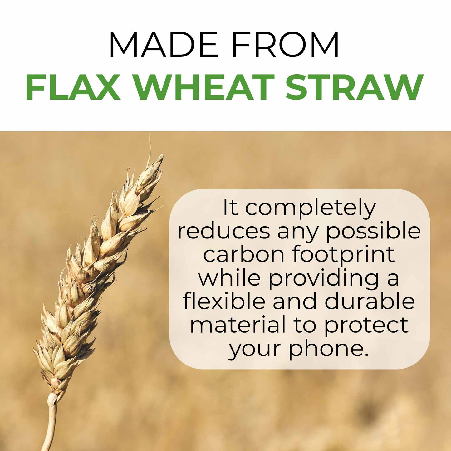 Flax wheat straw with text about its properties on a blurred natural background