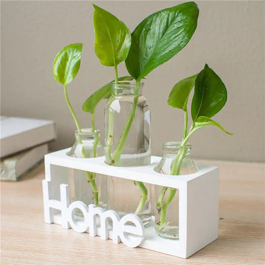 Clear glass vases with green plants on a white stand with 'Home' sign.