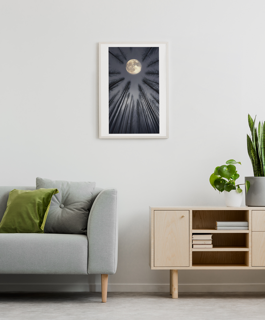 Ethereal Night Landscape Canvas – Glowing Moon & Forest Scene