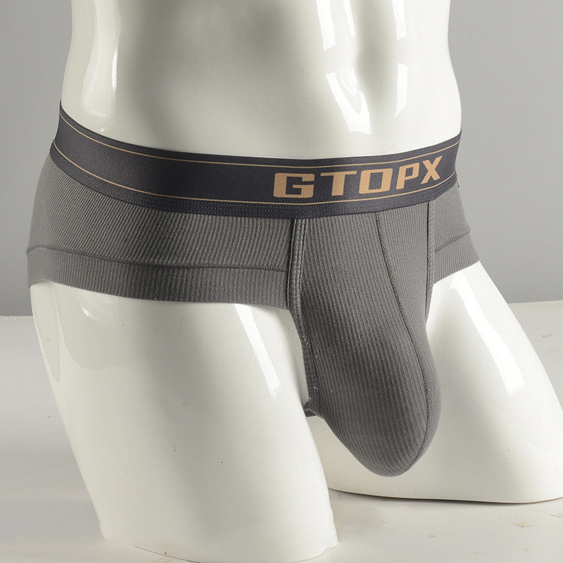 Gray men's underwear with 'GTOPX' brand logo on a mannequin against a gray background