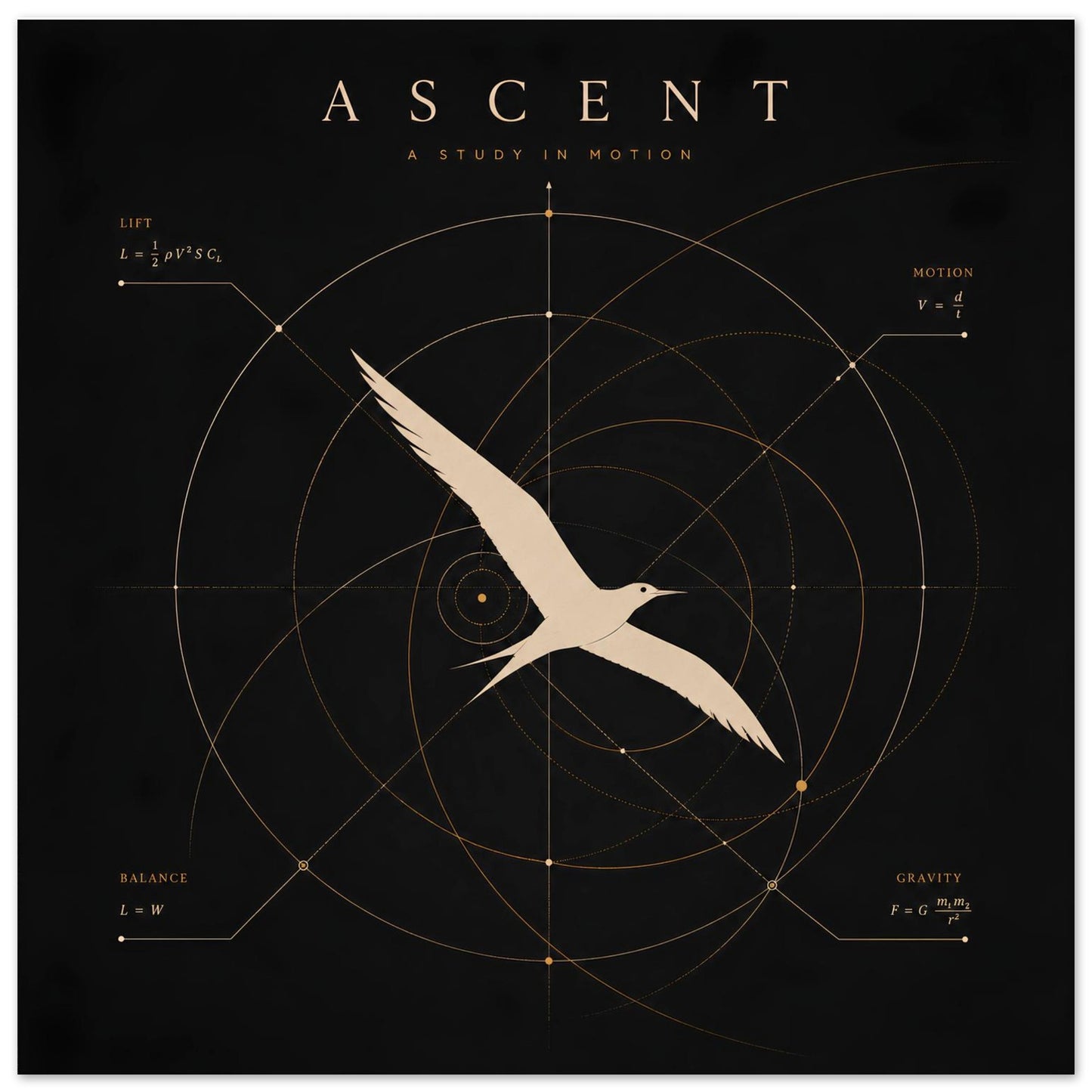 Close-up of a minimalist bird wall art print featuring geometric diagrams inspired by the science of flight.