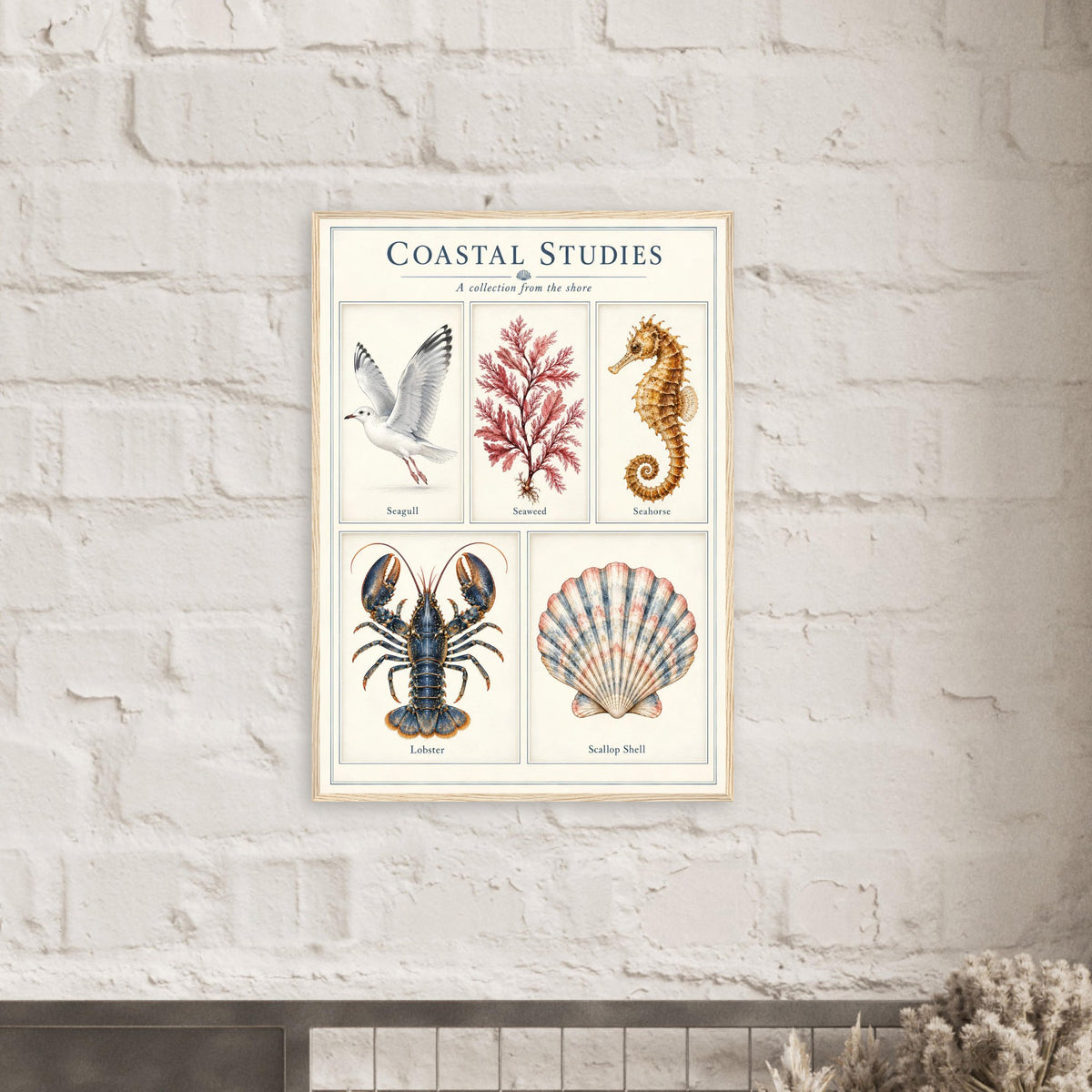 A framed vintage-style educational poster titled 'COASTAL STUDIES' hanging on a white brick wall. The poster features four labeled illustrations: a seagull, red coral, a seahorse, and a lobster, with a scalloped shell at the bottom.