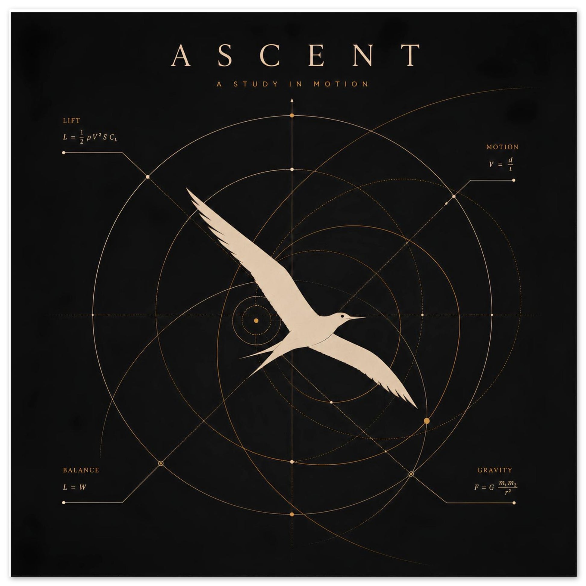 Close-up of a minimalist bird wall art print featuring geometric diagrams inspired by the science of flight.