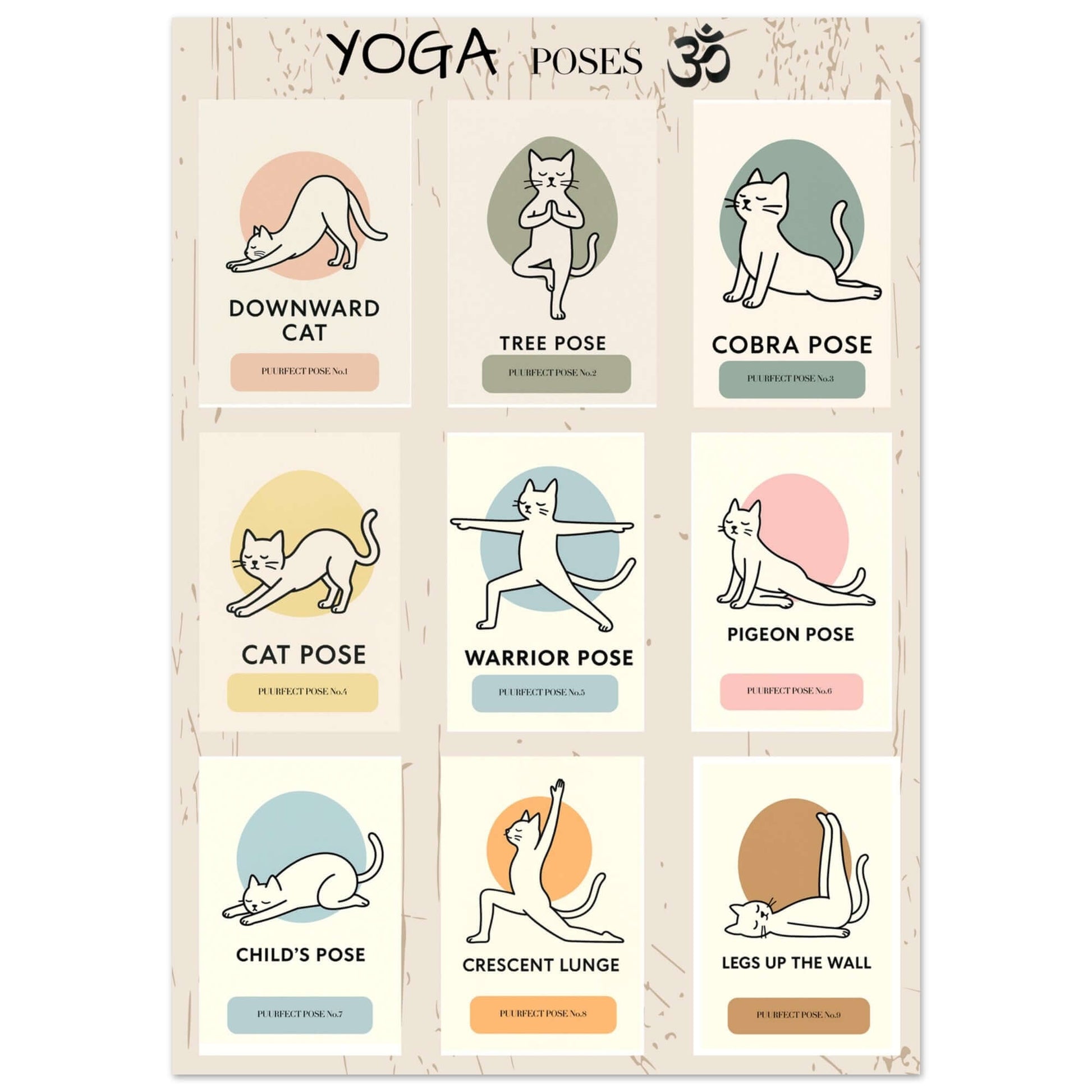 17f67d0f-f02f-46ce-a7c6-b6ab9b8868d2