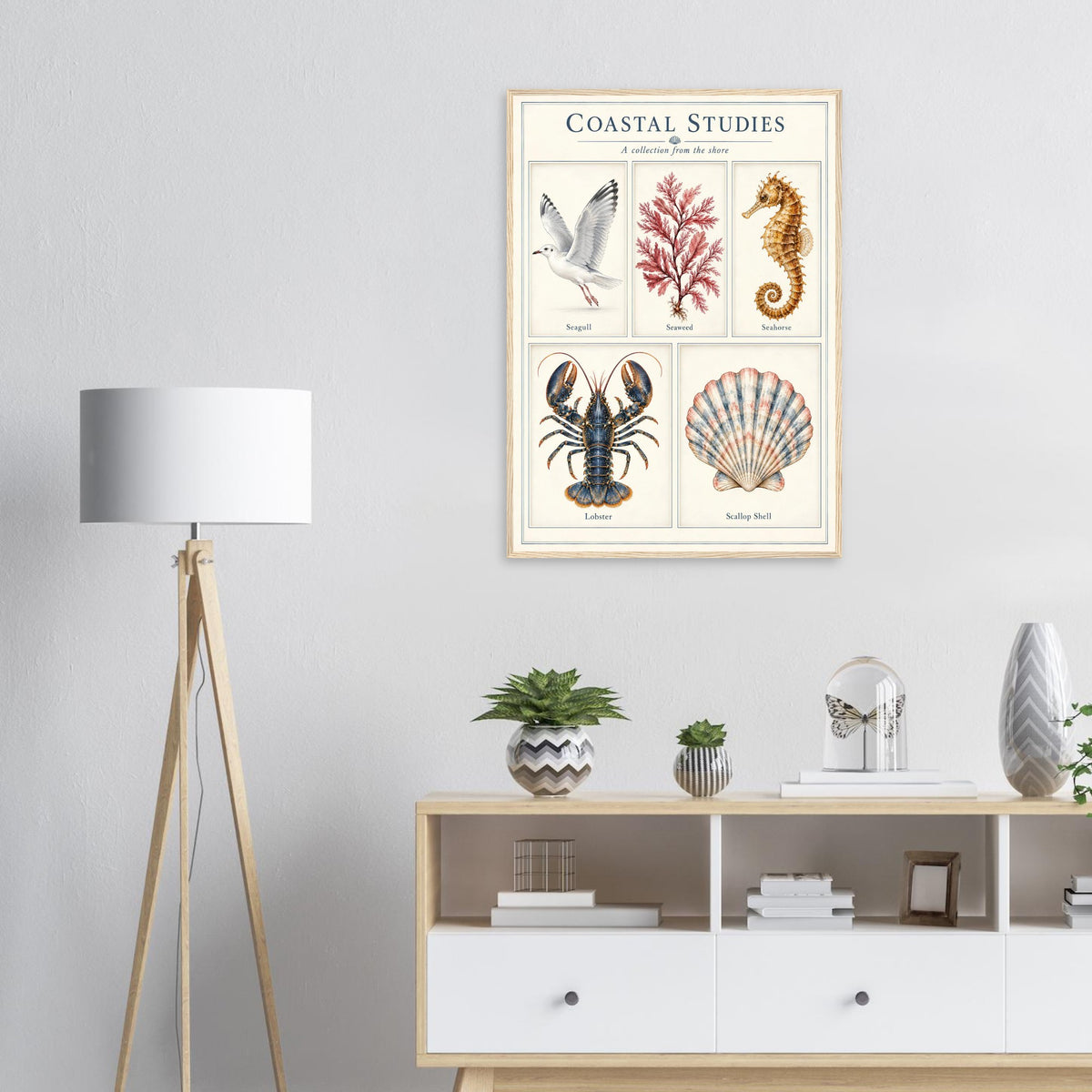 A framed vintage-style poster titled "Coastal Studies" hangs on a light gray wall above a white cabinet in a styled room. The poster features illustrated sea life and marine elements, including a seagull, coral, seahorse, lobster, and shell.