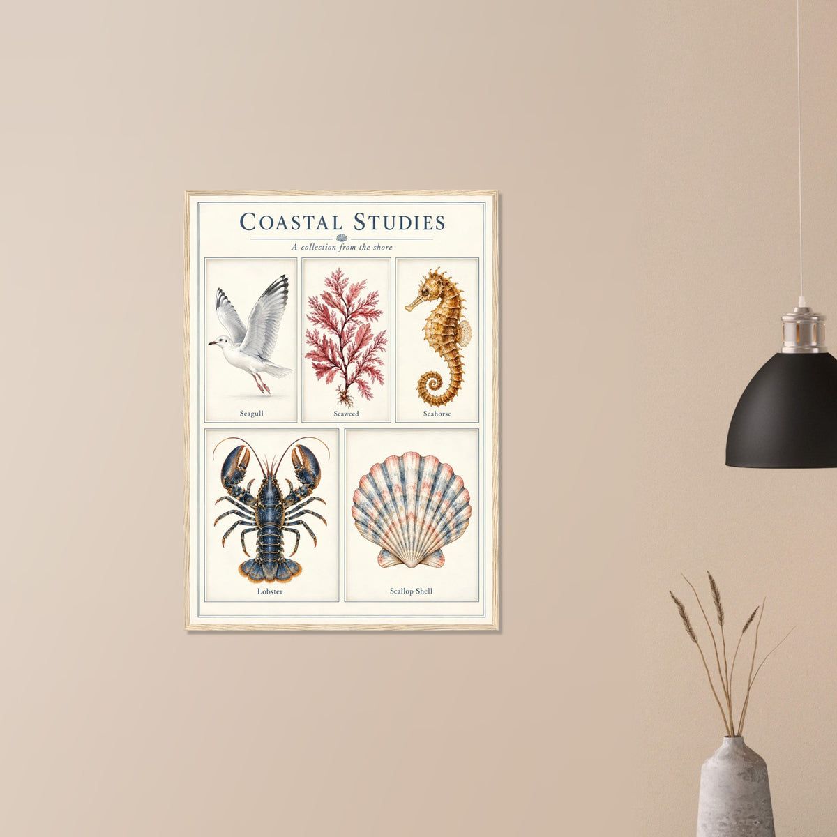 A framed vintage-style poster titled 'Coastal Studies' hanging on a beige wall, showing illustrated sea birds, coral, a seahorse, a lobster, and a shell. A black pendant lamp and a small vase with dried stems are partially visible in the room setting.