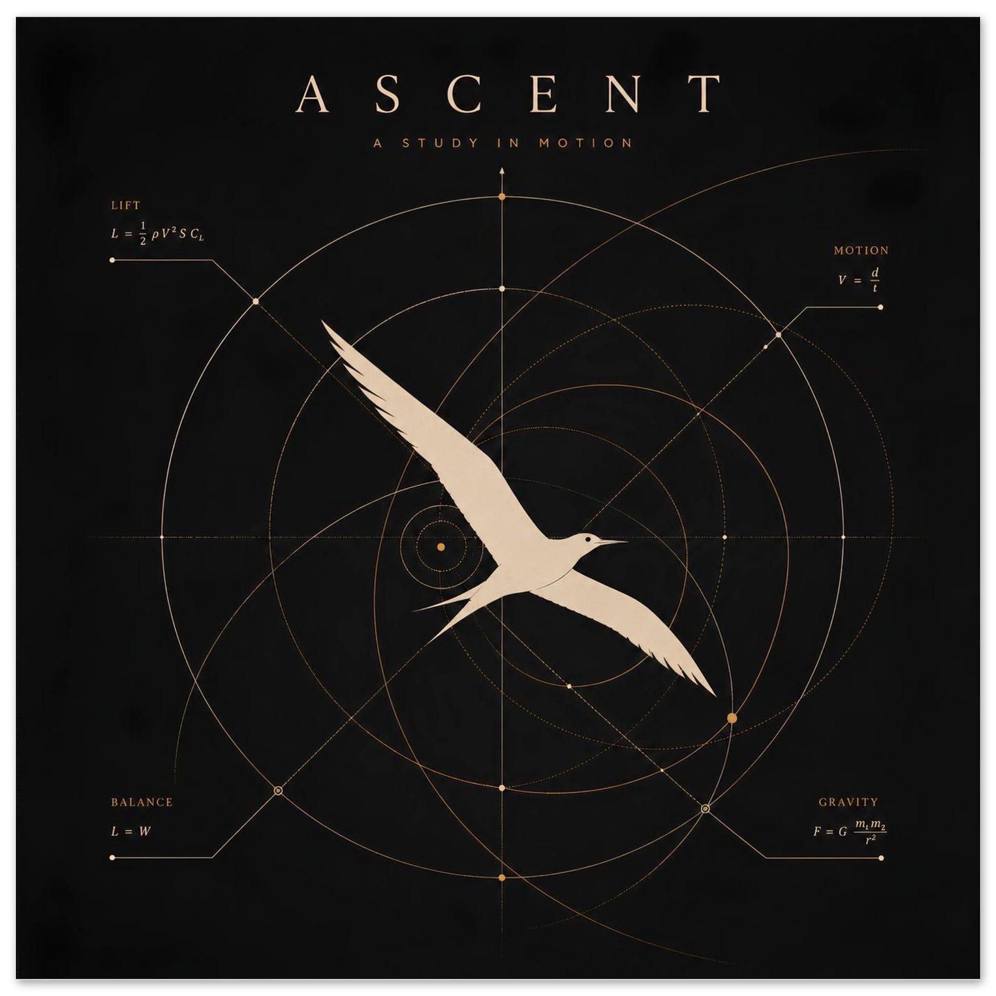 Close-up of a minimalist bird wall art print featuring geometric diagrams inspired by the science of flight.