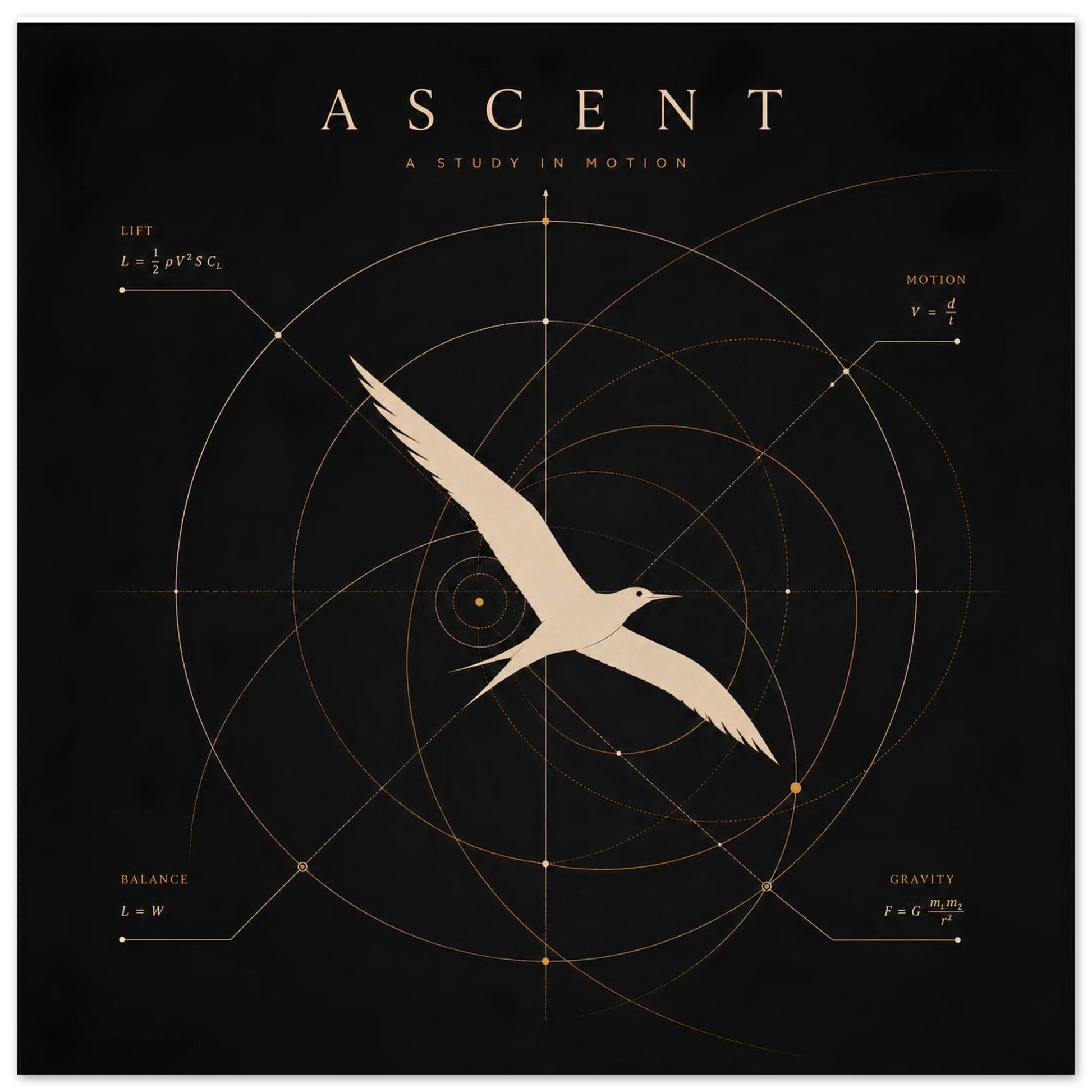 Close-up of a minimalist bird wall art print featuring geometric diagrams inspired by the science of flight.