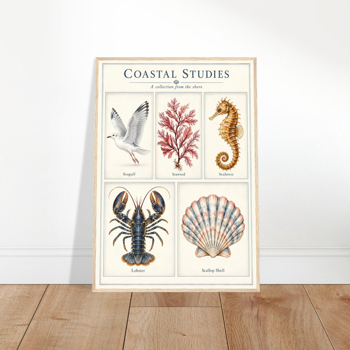 A framed vintage-style poster titled "Coastal Studies" leaning against a white wall on a light wood floor. The poster features illustrated sea life and marine elements: a seagull, kelp, a seahorse, a lobster, and a scallop shell, with small labels beneath each illustration.