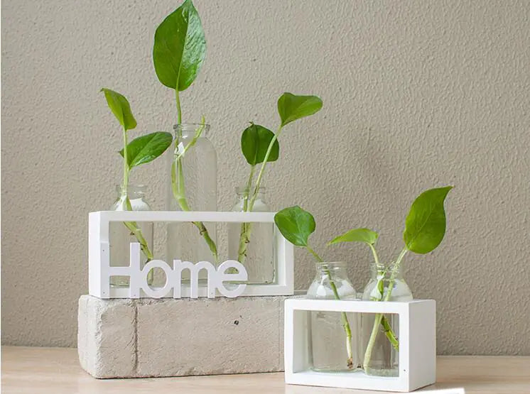 Decorative setup with plants in glass jars on a white 'Home' sign and concrete block.