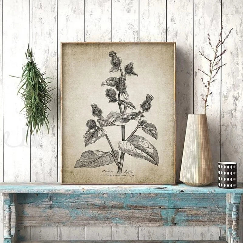 A framed botanical art print featuring a vintage black ink illustration of a leafy plant on an aged beige background, styled on a distressed blue wooden bench against a white wood-paneled wall.