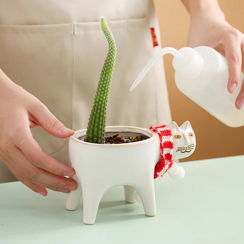 Cream and dark green ceramic cat planters displayed with cacti on a decorative shelf.