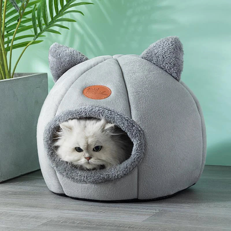 Gray cat-shaped pet bed with a small white cat inside, on a wooden floor with a green plant in the background.