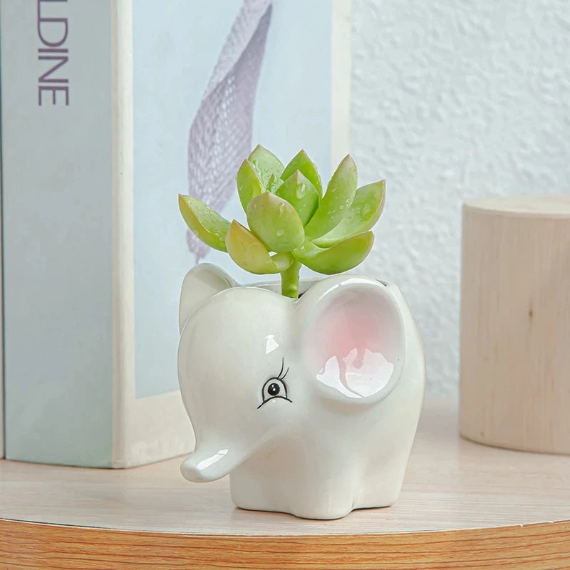 White ceramic elephant planter with a succulent on a wooden surface