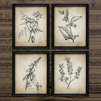 Four framed botanical art prints arranged in a 2x2 grid on a rustic dark wood background. Each print features a vintage-style black ink illustration of different herbs and plants on an aged beige paper background, enclosed in simple black frames.