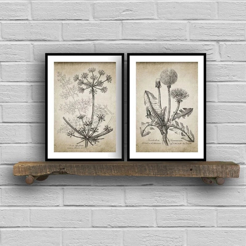 Two framed botanical art prints with black frames and white mats, displayed side-by-side on a rustic wooden shelf against a white brick wall.