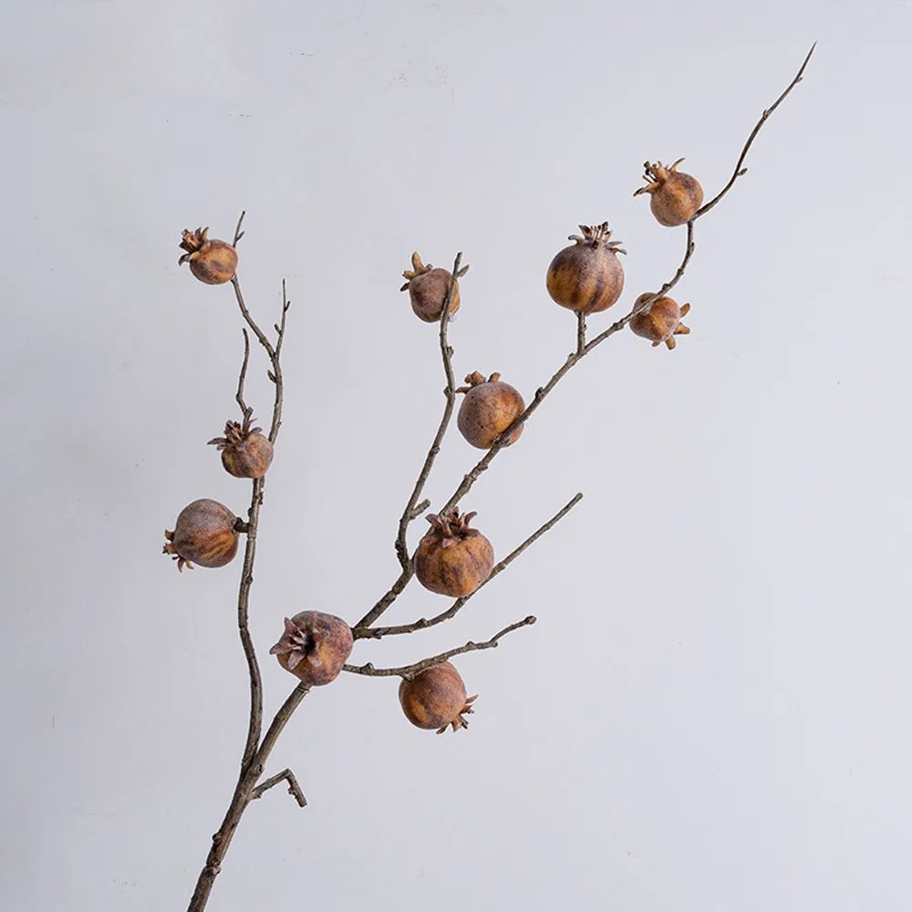 Dried branch with brown fruit-like pods against a light gray background