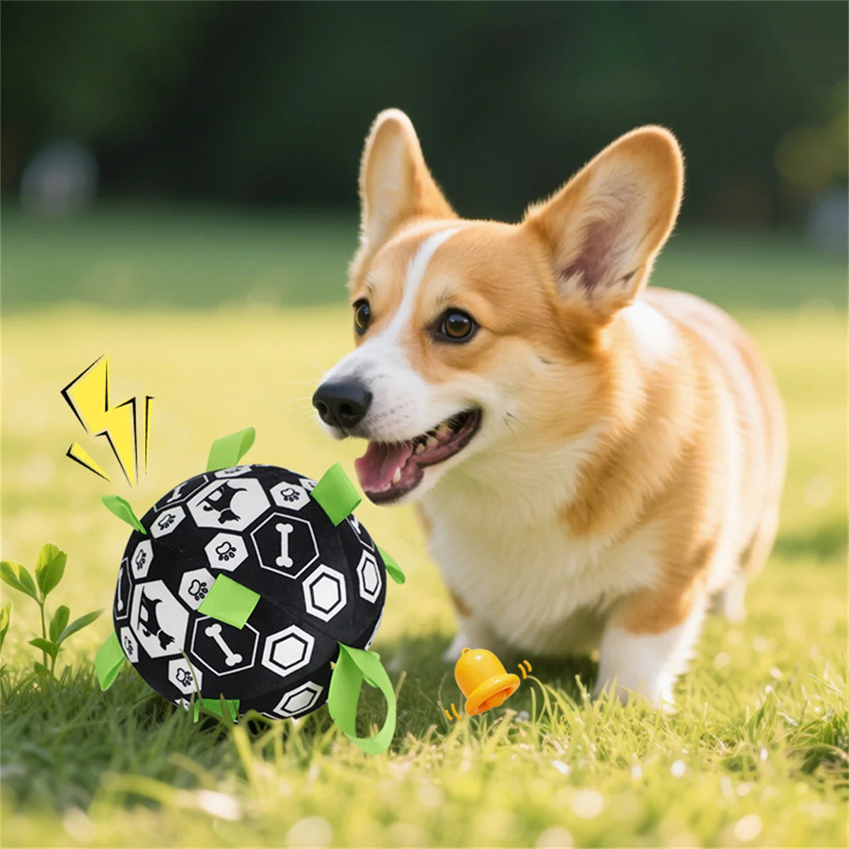 Dog playing with a black and white ball on grass