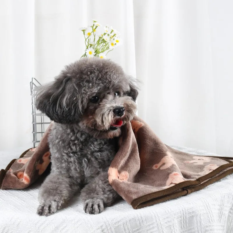 Small dog sitting on a bed with a patterned blanket
