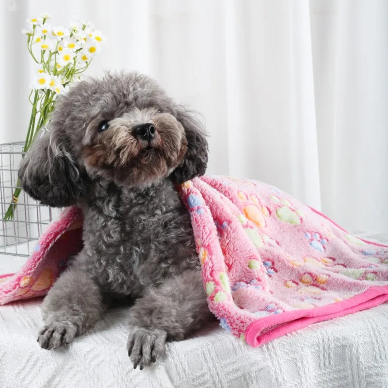 Small dog with a pink blanket on a white surface with flowers in the background