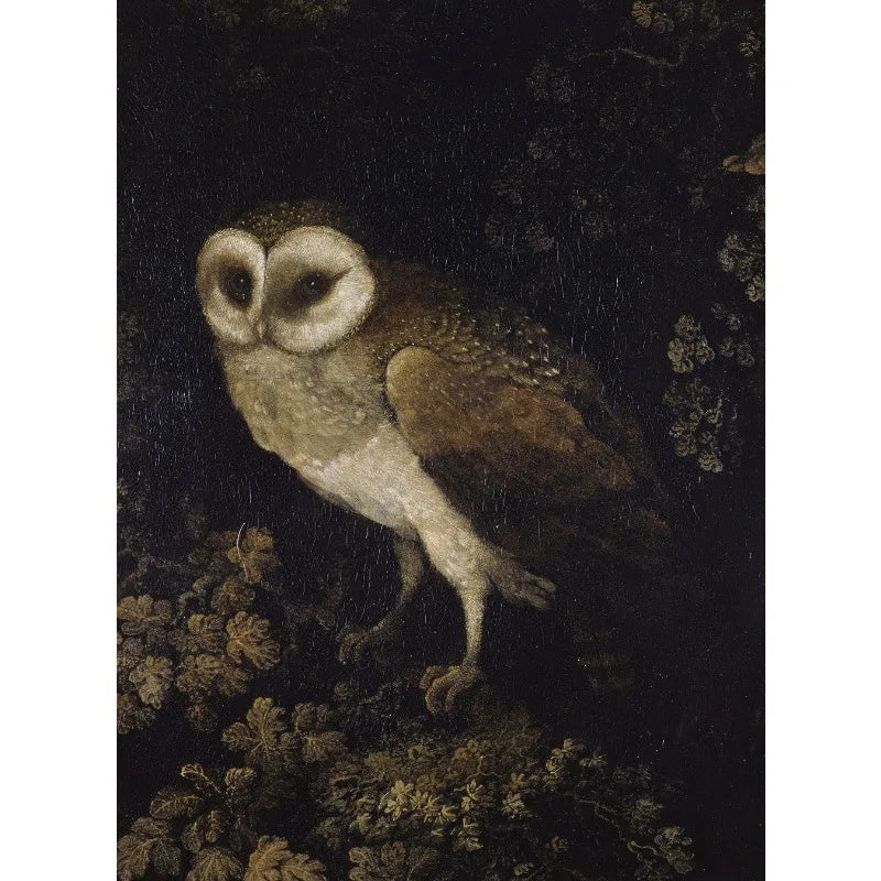 Painting of an owl perched on a branch with a dark background