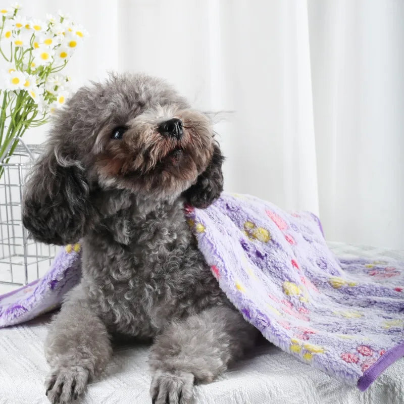 Small dog sitting on a white surface with a floral-patterned blanket and flowers in the background
