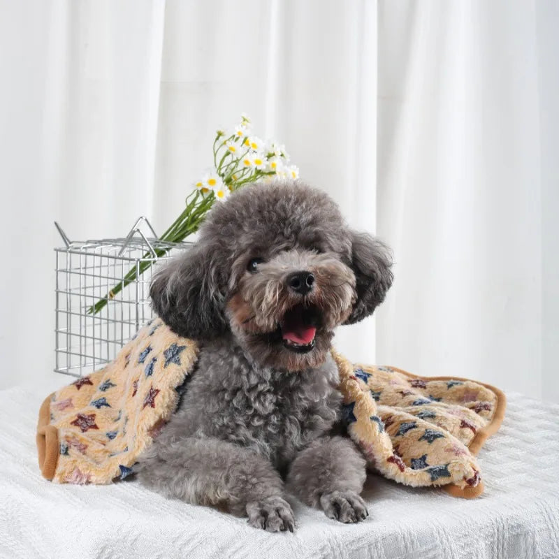 Small dog sitting on a white surface with a floral-patterned blanket and a small basket of flowers in the background.