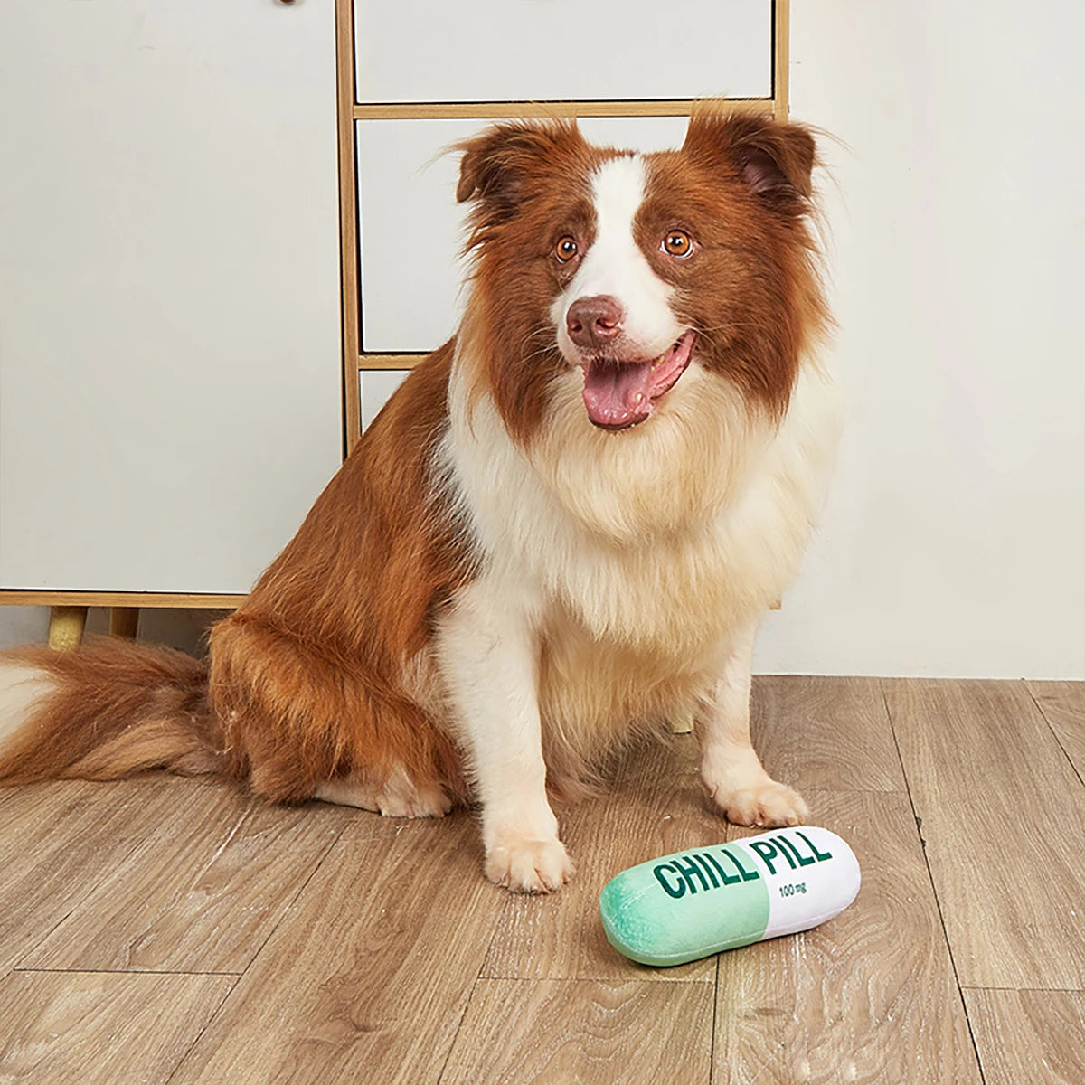 Dog sitting next to a 'Chill Pill' toy on a wooden floor.