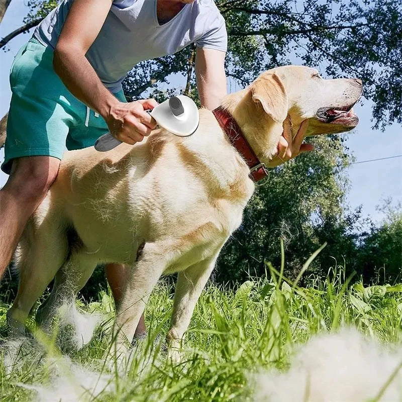 Person grooming a dog outdoors with trees and grass in the background