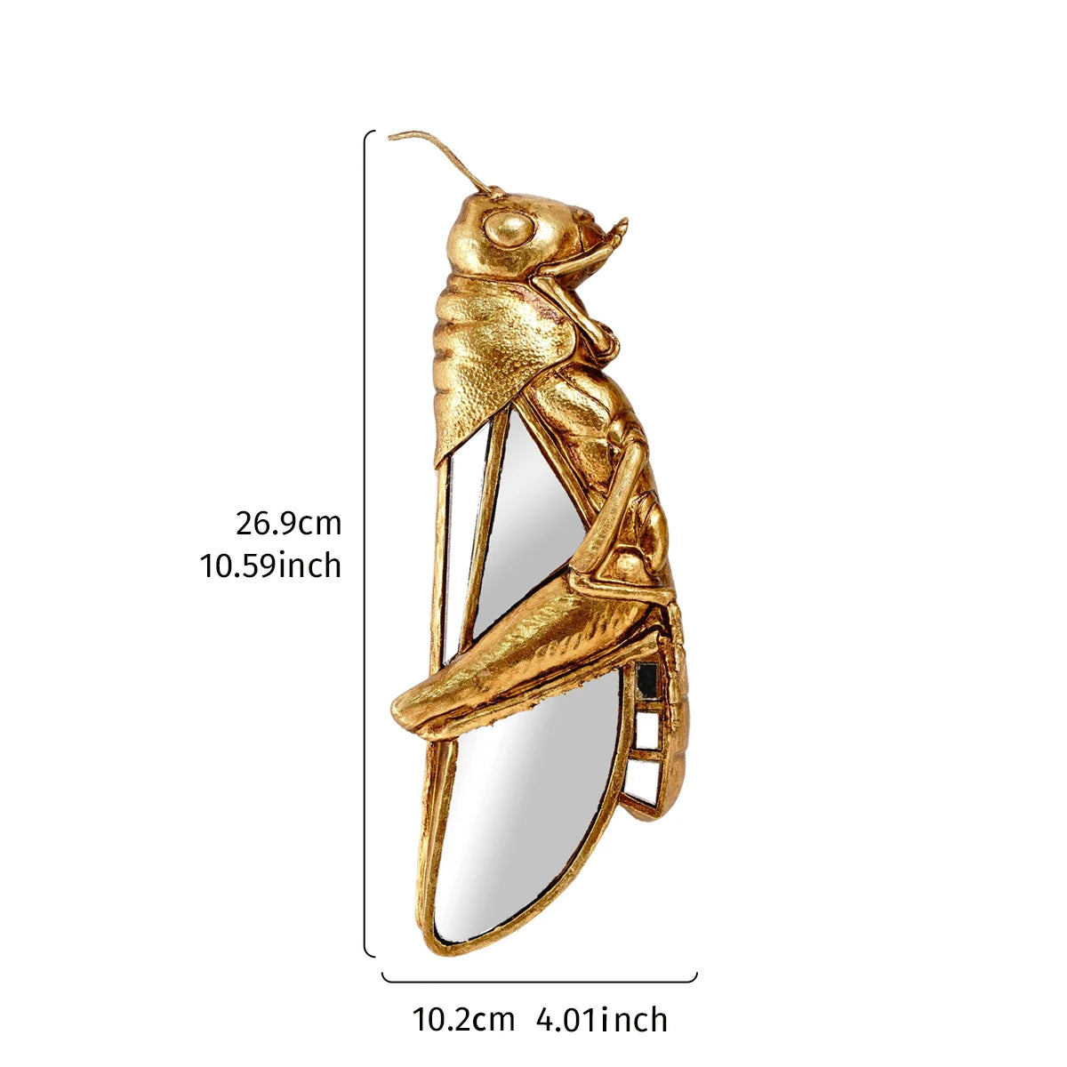 Gold insect-shaped brooch with measurement details on a white background