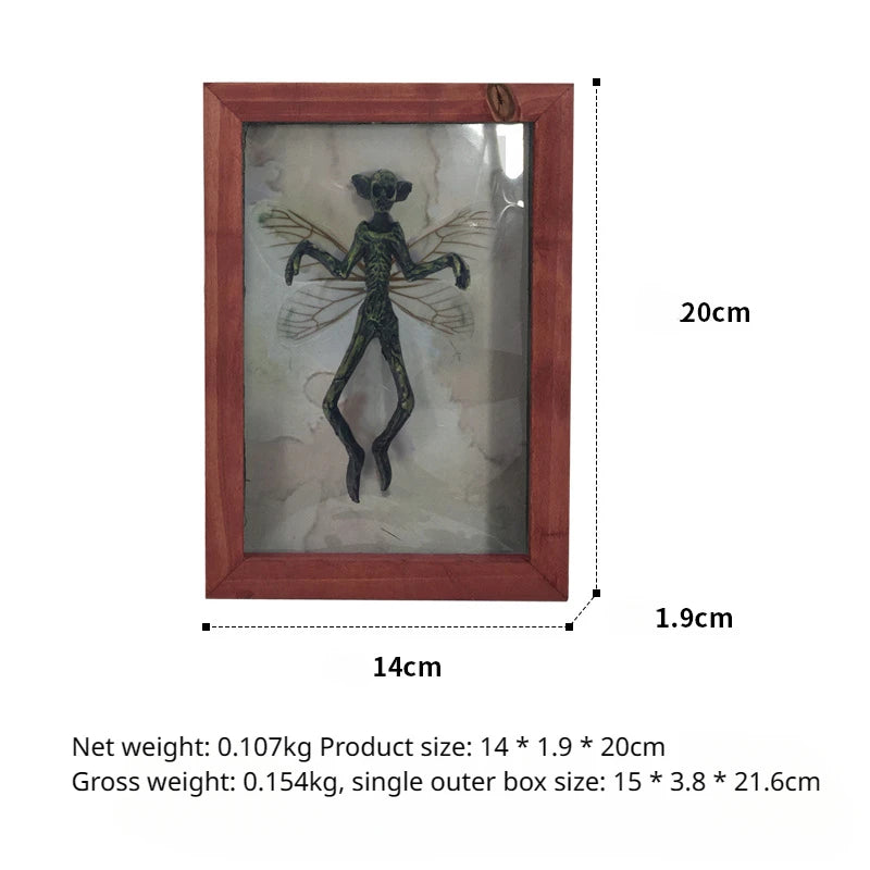 Framed insect specimen with dimensions and product details on a white background