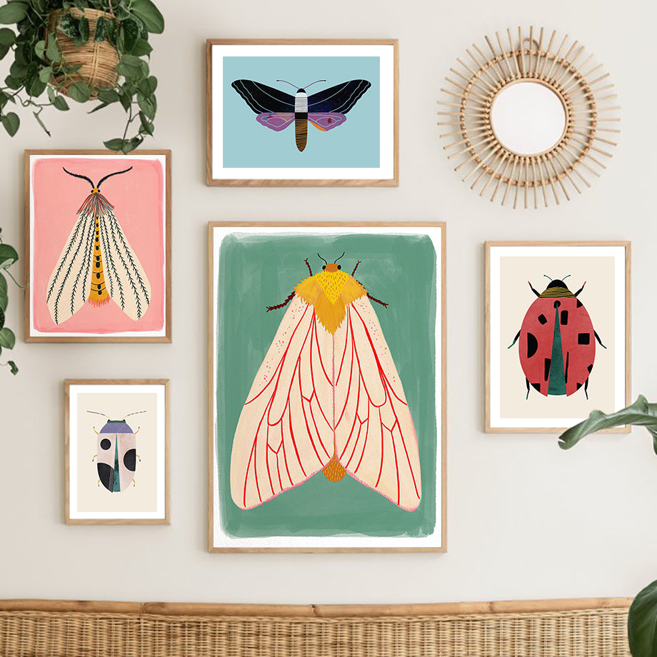 Wall art with colorful insect illustrations in wooden frames on a light-colored wall.