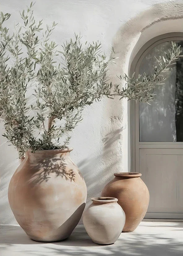 Three terracotta pots with olive branches against a light stone wall.