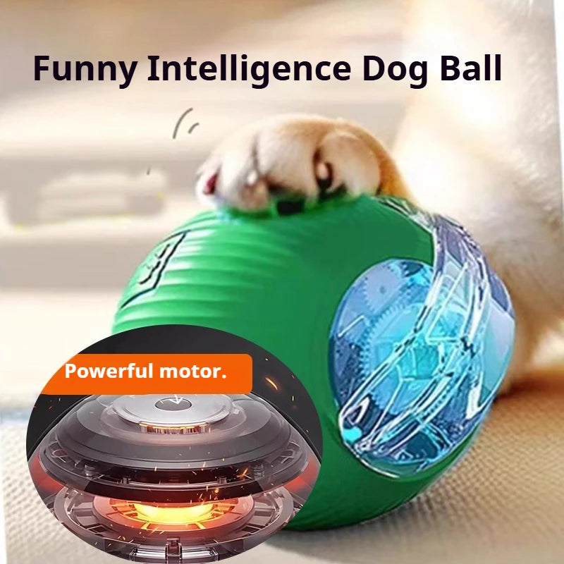 Green and blue dog toy with a powerful motor labeled 'Funny Intelligence Dog Ball' and 'Powerful motor'.