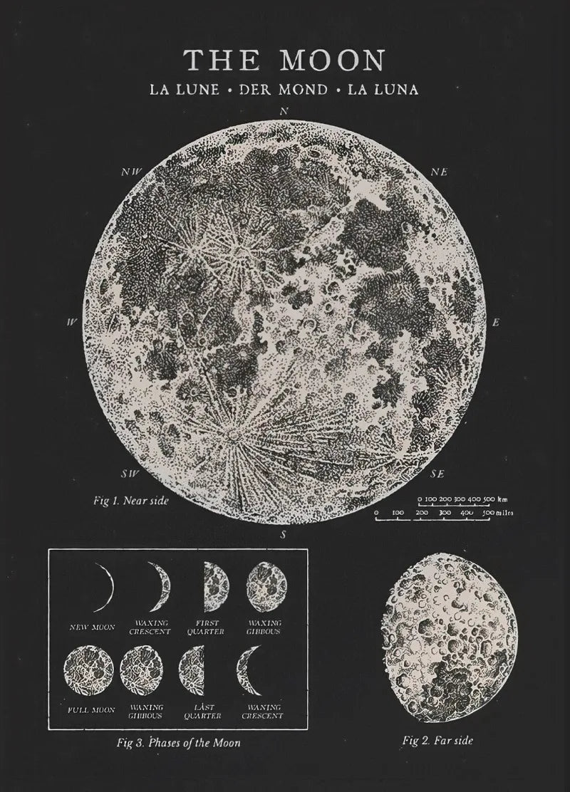 The Moon Poster