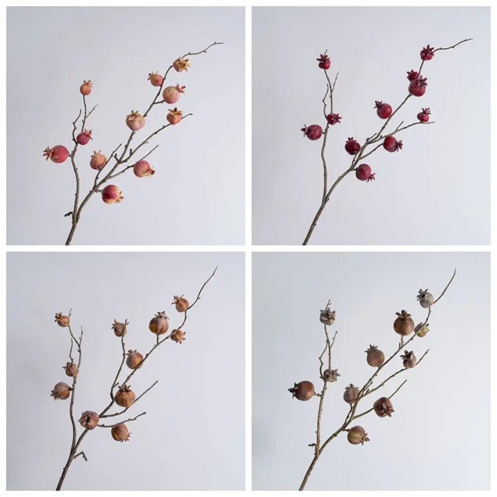 Four square images of a dried plant branch with red berries on a light gray background