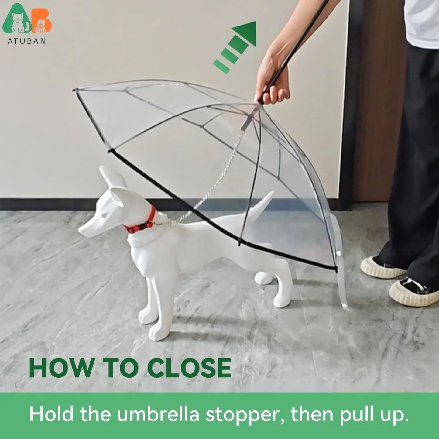 Clear dog umbrella with a white dog model and person holding it, showing how to close.
