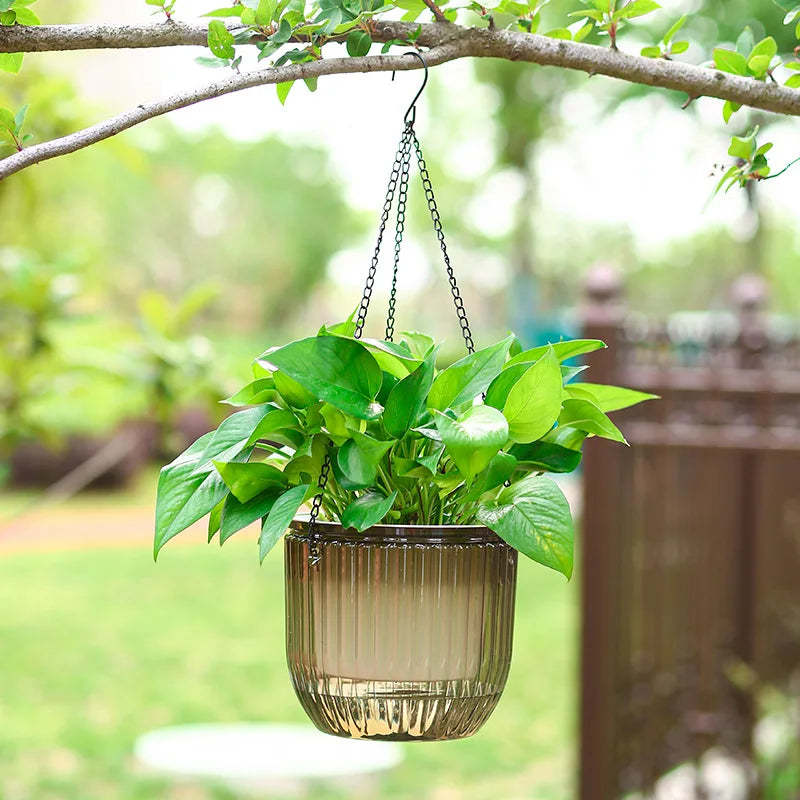 Hanging green plant in a ribbed plastic pot against a blurred natural background