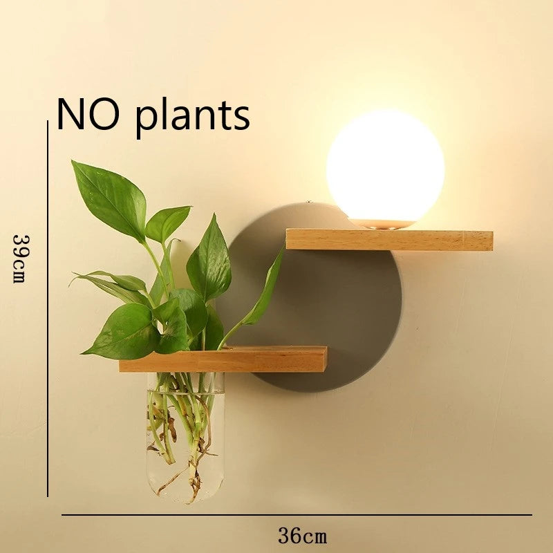 Wall-mounted plant holder with a light bulb and measurements on a beige wall.