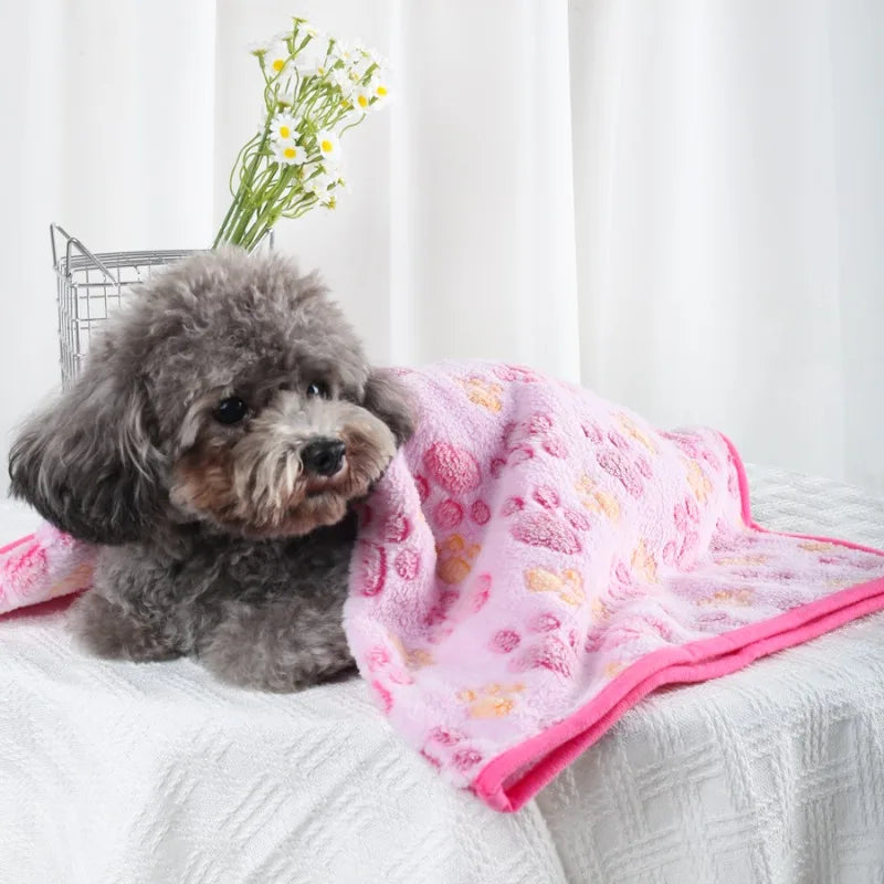 Small dog wrapped in a pink towel with paw prints on a white surface.