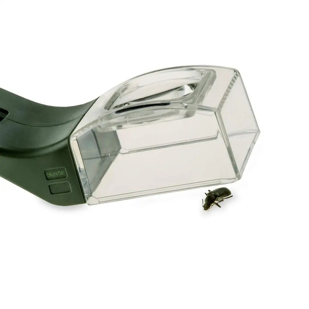 Insect trap with a beetle on a white background