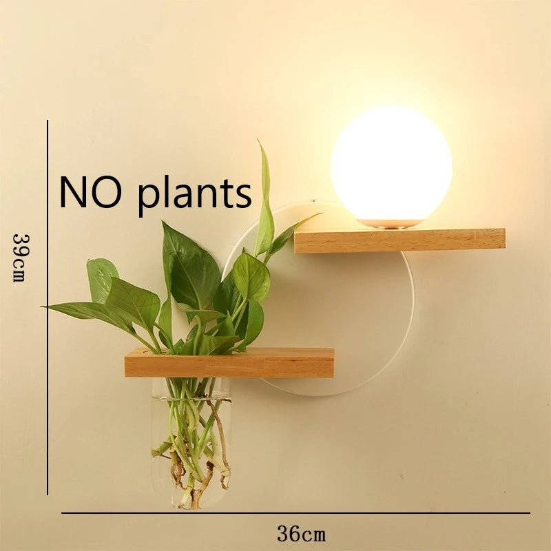Wooden shelves with plants and a light bulb on a beige background