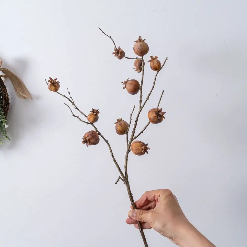 Hand holding a branch with dried fruits against a light background