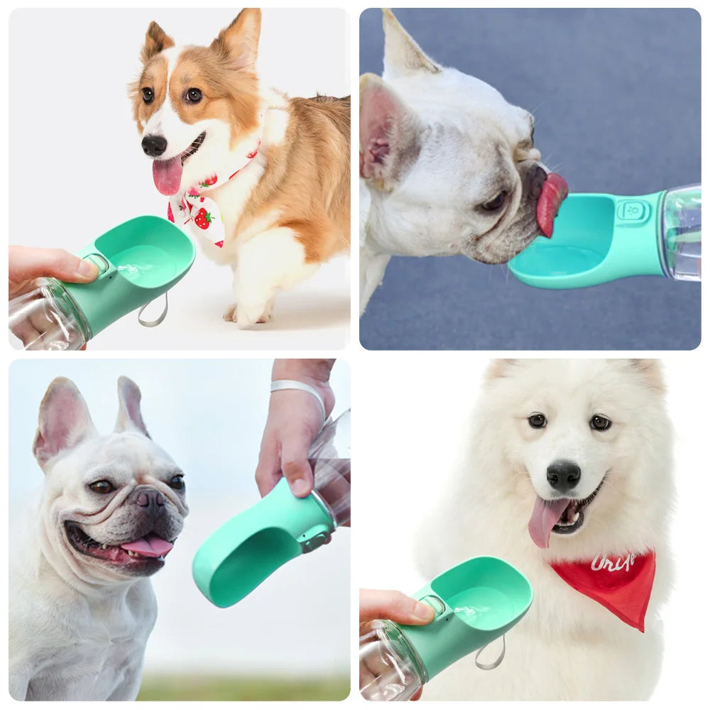 Collage of dogs using a green pet water bottle with different backgrounds.