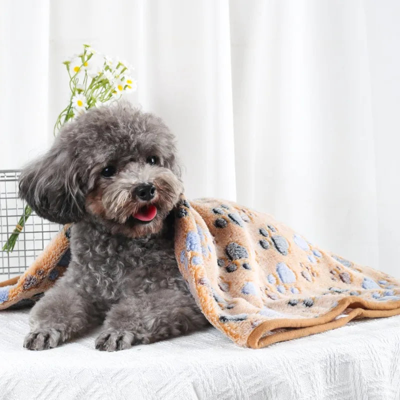 Dog lying on a blanket with a white curtain and flowers in the background