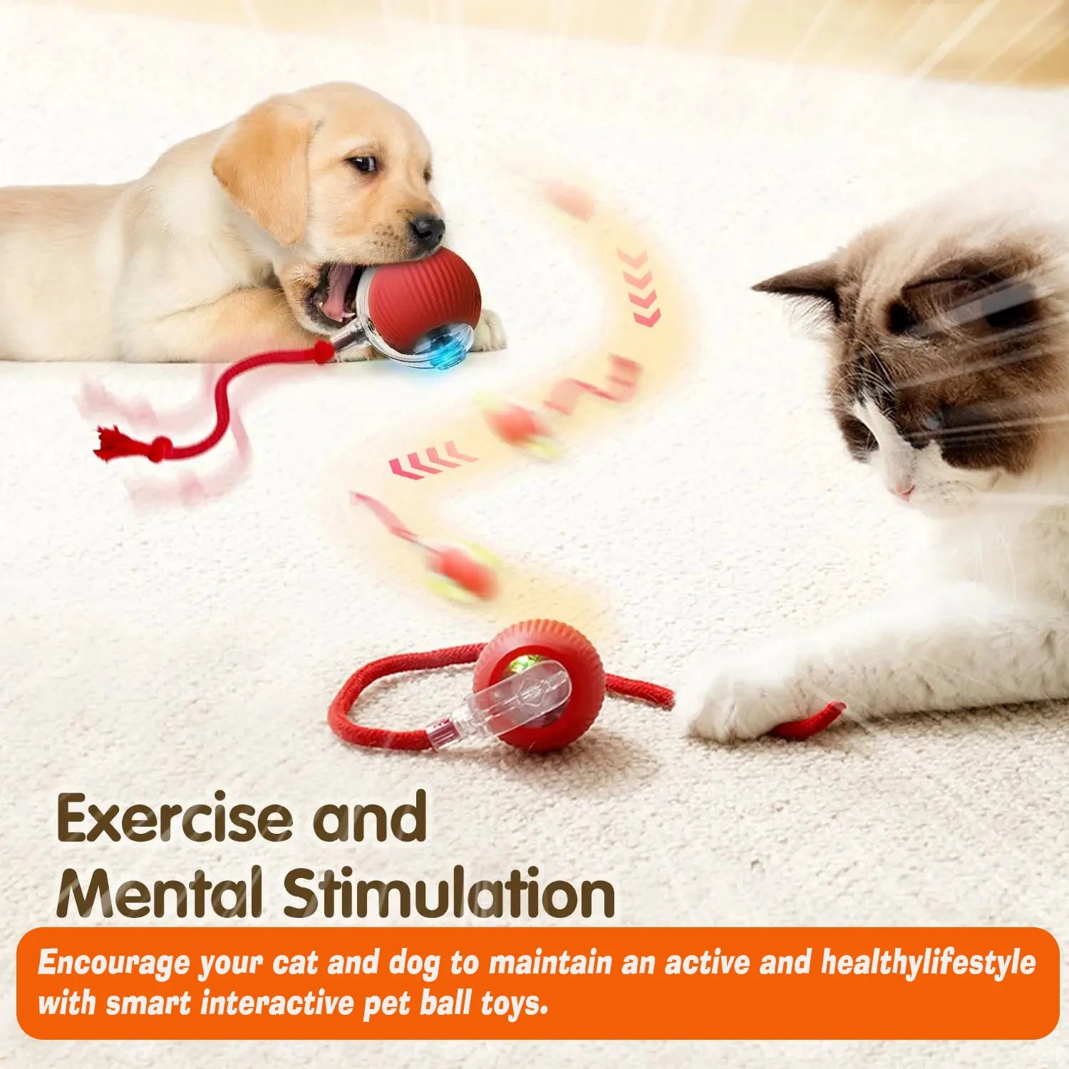 Dog and cat playing with a red interactive pet toy on a light surface.