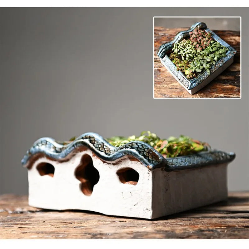 Ceramic shell-shaped planter with succulents on a wooden surface