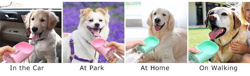 Set of four images showing a dog with a pink bowl in different settings.